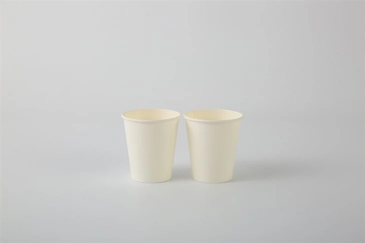 double PE paper cup