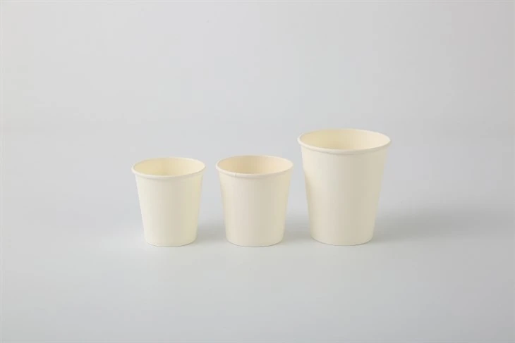 paper cup